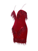 Load image into Gallery viewer, Yasmine Crystal Feather Dress
